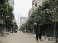启美新城周边实景拍摄