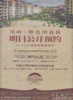 维也纳森林广告欣赏(12.03)