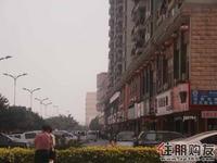 瀚林雅筑商铺与别墅预约(12.04)