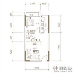 【A11户型】1室1厅