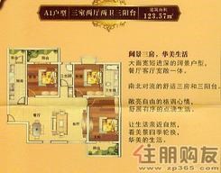 【A1户型】3室2厅2卫1厨3阳台