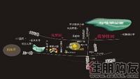 交通图