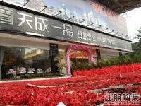 销售中心开放仪式(12.8)