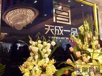 天成一品(12.8)