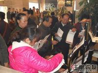 客户争相取户型图(12.8)