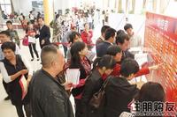 11月13日西城中央大街开盘