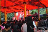 抽号进行中(11.20)