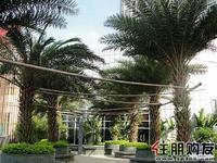 11.21汇东郦城实景图