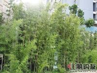 11.21汇东郦城实景图