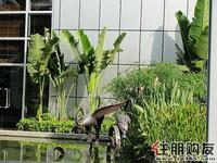 11.21汇东郦城实景图