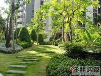 11.21汇东郦城实景图