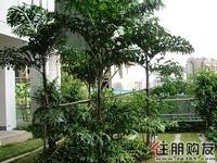 11.21汇东郦城实景图