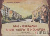 维也纳森林广告欣赏(12.10)