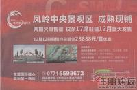 荣和·凤岭娱人码头广告欣赏(12.10)