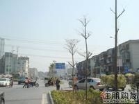 2010年11月13日盛天公馆售楼部开放