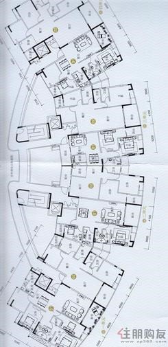 【骋望怡璟湾E栋标准层平面图】