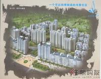 金水湾及第苑鸟瞰图