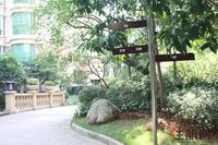 12.6园林实景图