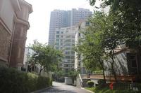 12.6园林实景图
