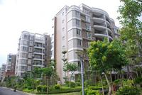 2011.10.27阳光城实景图