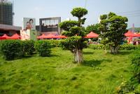 文华新城项目及园林实景图