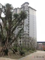 楼栋实拍(4.6)