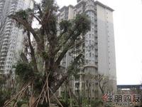 楼栋实拍(4.6)