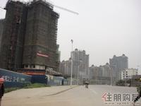 远眺台湾街(4.6)