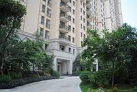 江滨豪园园林实景图