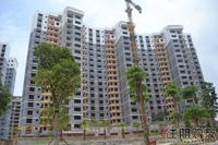 2011.8.11凤岭名园园林实景图