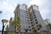 2011.8.11凤岭名园园林实景图