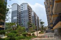 2011.8.11凤岭名园园林实景图