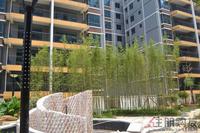 2011.8.11凤岭名园园林实景图