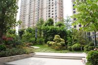 江滨豪园园林实景图