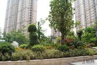 江滨豪园园林实景图