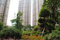 江滨豪园园林实景图