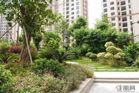 江滨豪园园林实景图