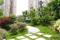 江滨豪园园林实景图