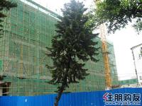 工程进度实拍(4.13)