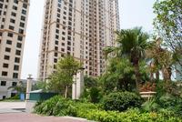 江滨豪园园林实景图