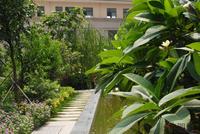 江滨豪园园林实景图