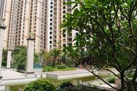 江滨豪园园林实景图