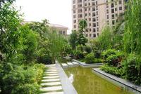 江滨豪园园林实景图