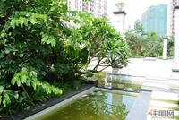 江滨豪园园林实景图