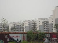 天元·翰林尊府实景图