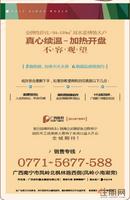 11.17 广告欣赏
