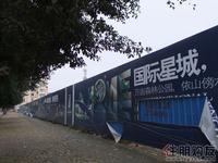 冠亚·国际星城项目实景图