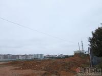 冠亚·国际星城项目实景图