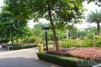 2011.5.28小区花园