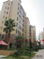 西山御府11.17实景 